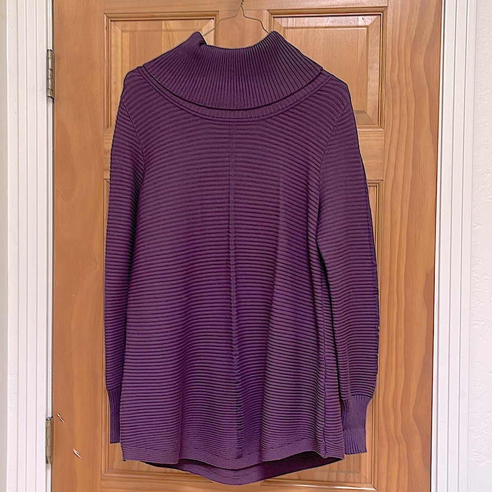 Cyrus Turtleneck shirt/sweater